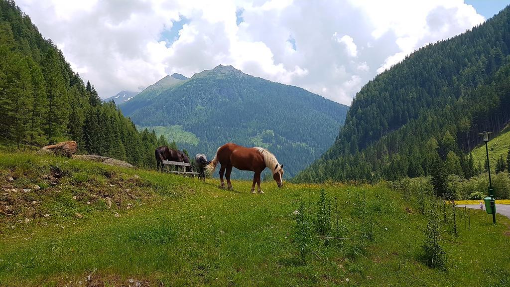 فندق Gaestehaus Truskaller مالنتز المظهر الخارجي الصورة